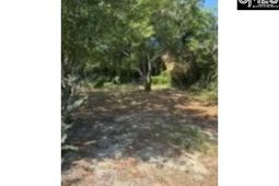 141 Parkwood Drive  photo 4