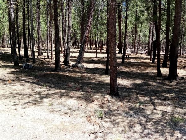 14856 Curlleaf, La Pine, OR 97739