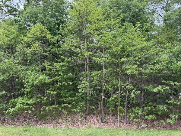 Vacant Lot 565 E , DeMotte, IN 46310