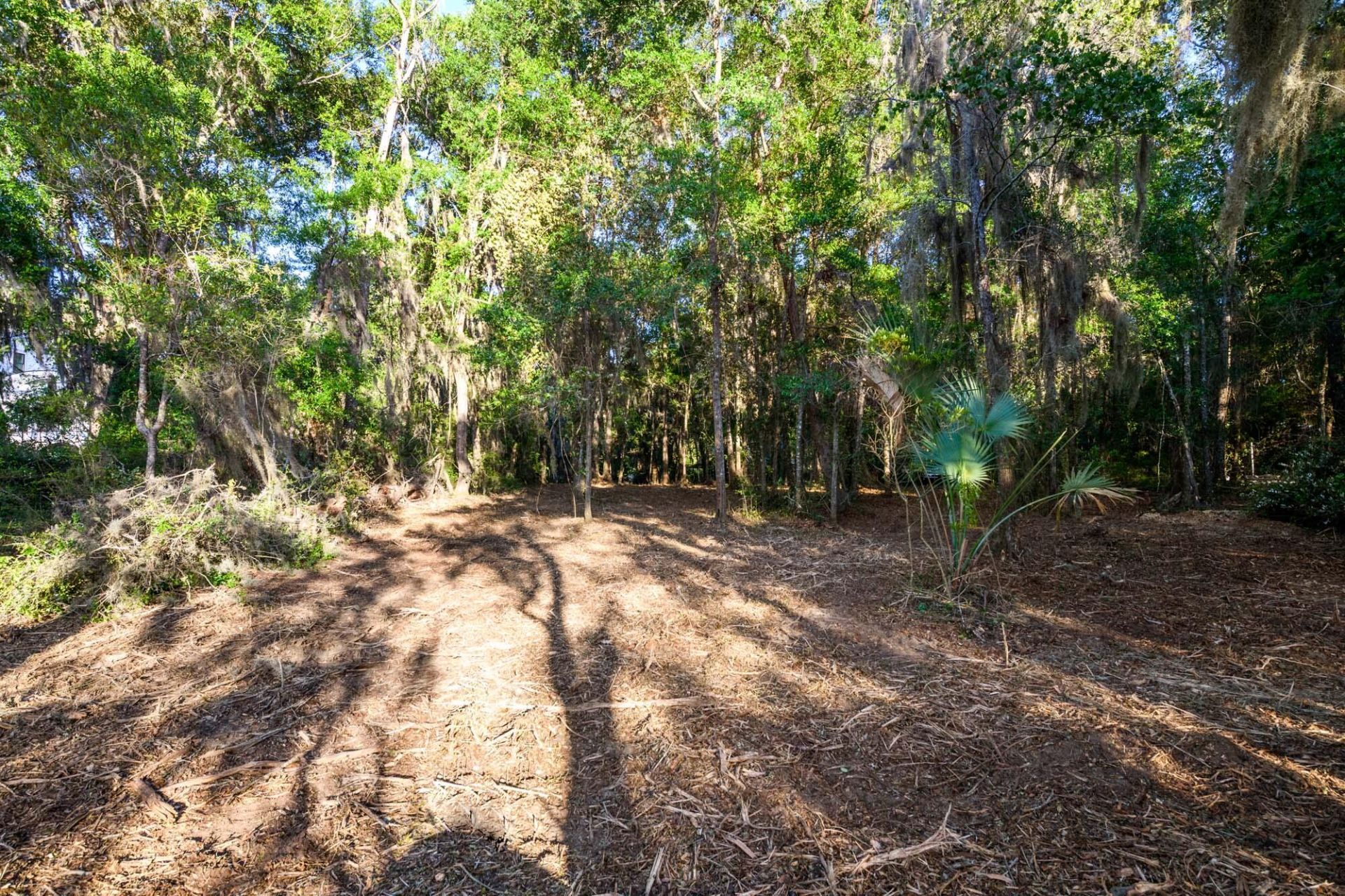 3566 Bohicket Estates Drive Photo 17