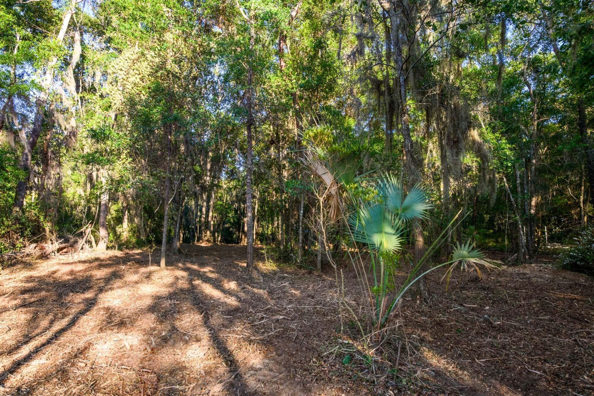 3566 Bohicket Estates Drive Photo 18