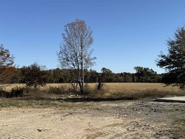 2220 Duck Levee , Biggers, AR 72413