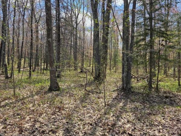 17--- Short Cut Rd, Herbster, WI 54844