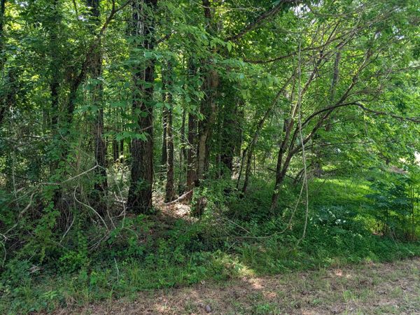 0 Gum Street , Tracy City, TN 37387