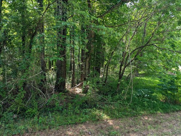 0 Montgomery , Tracy City, TN 37387