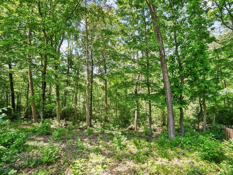 225 W Stoneridge Drive, Milford, OH 45150 Photo 55