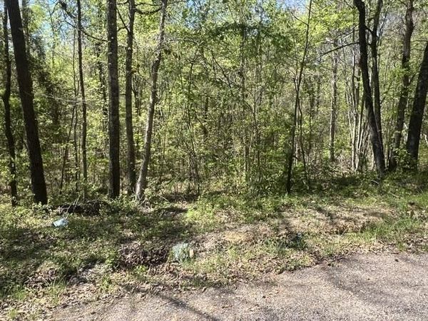 HINES GIN RD, Selmer, TN 38375