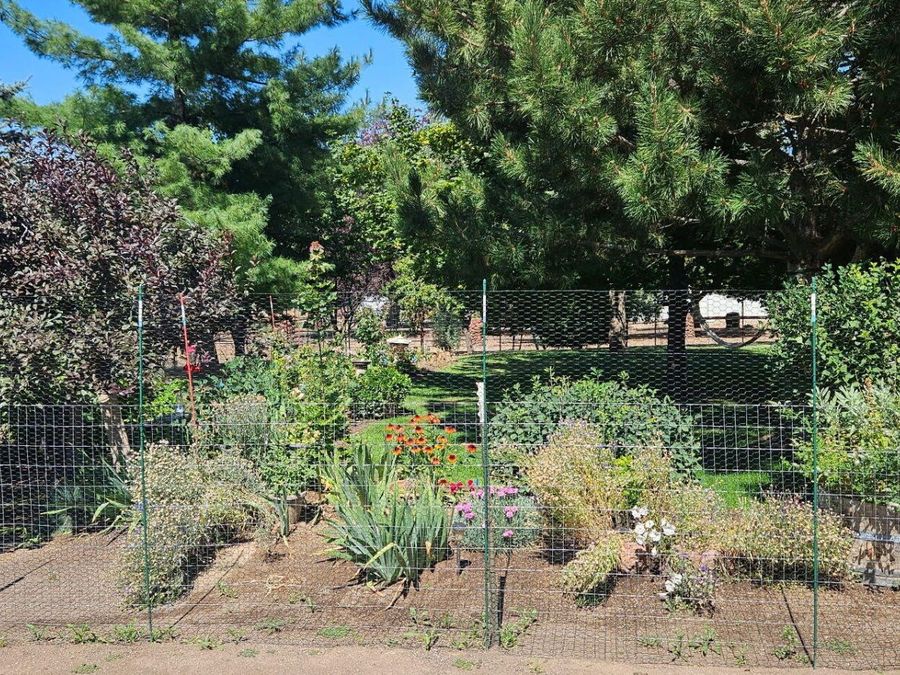 Property Image 19