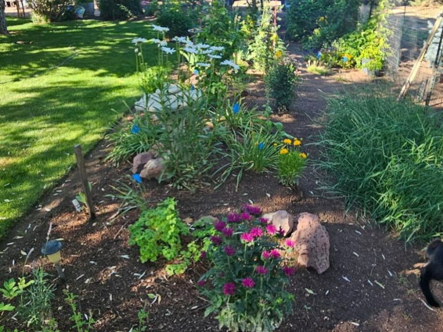 Property Image 24