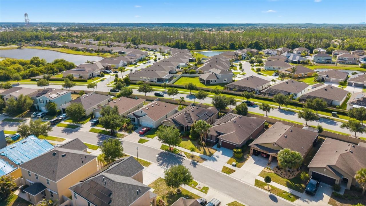 16357 Treasure Point Drive, Wimauma, FL 33598 Photo