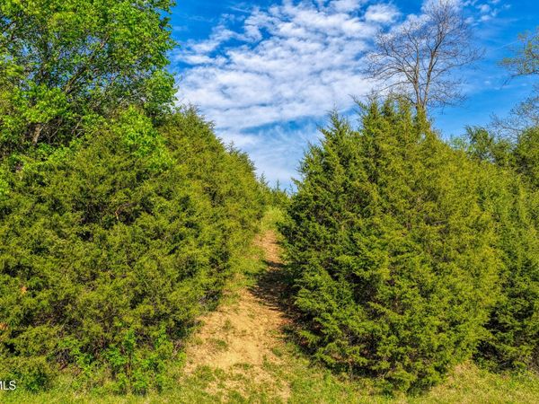 Tbd Cloud Creek Road, Rogersville, TN 37857