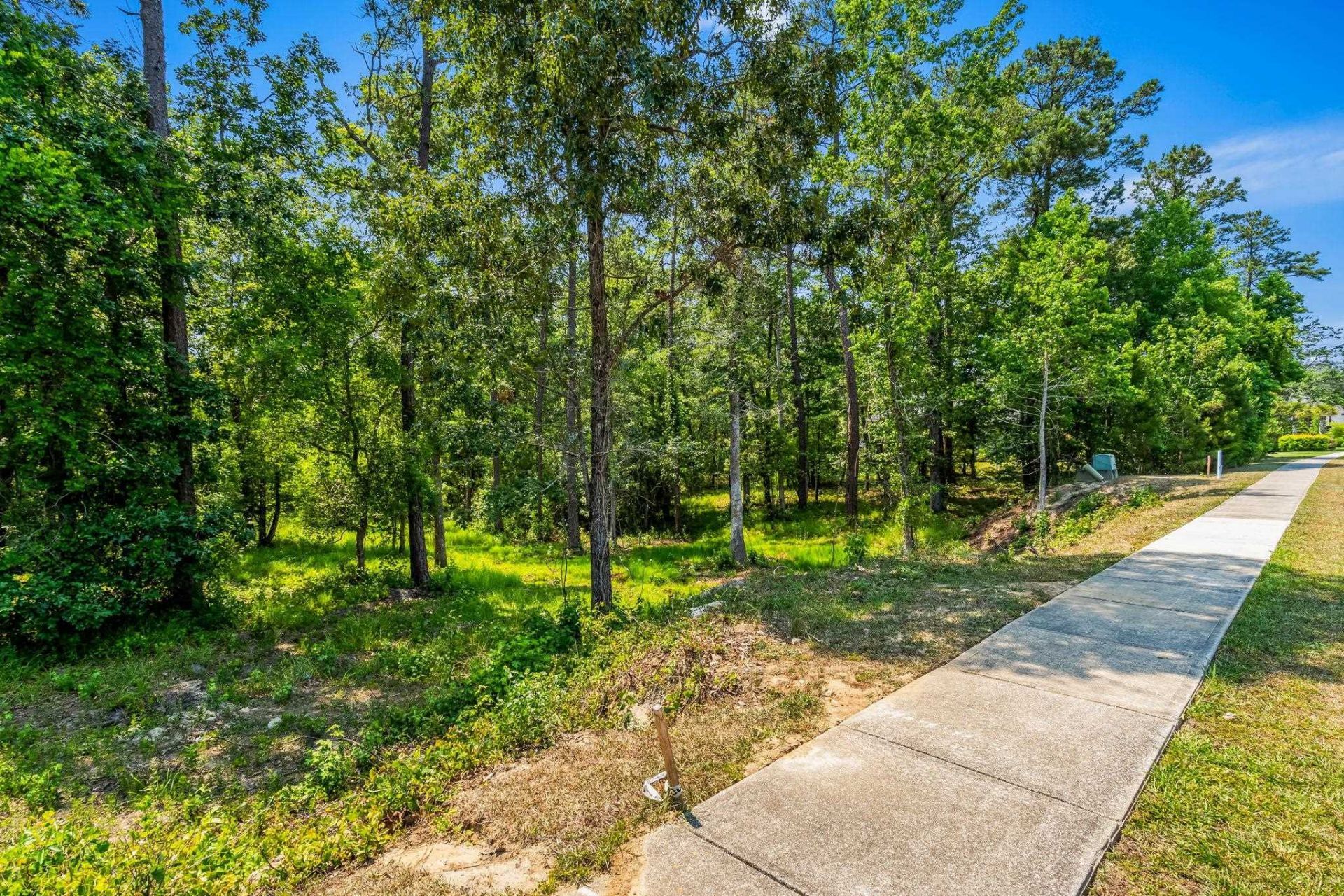508 Chamberlin Rd. Photo 17