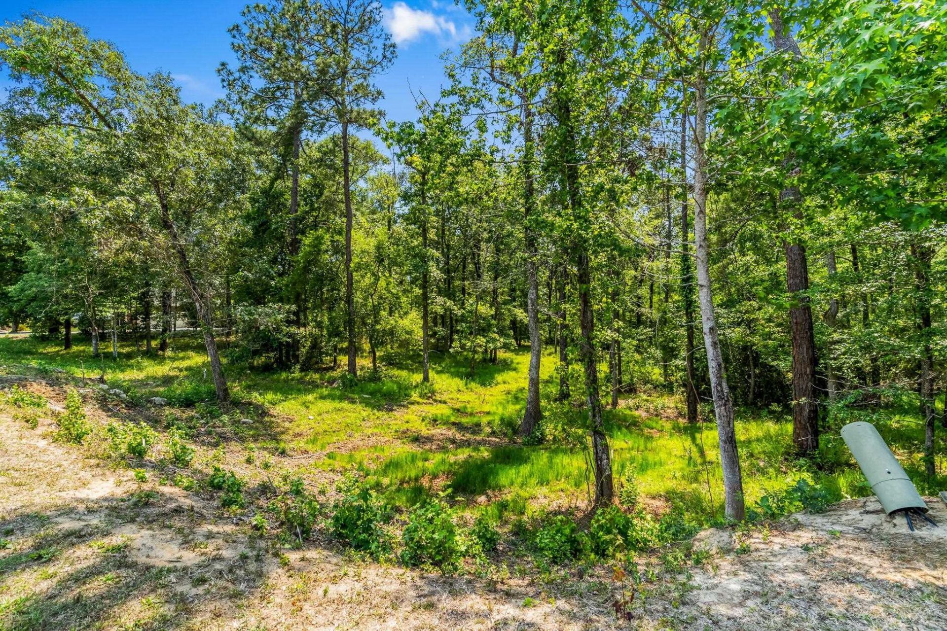 508 Chamberlin Rd. Photo 18