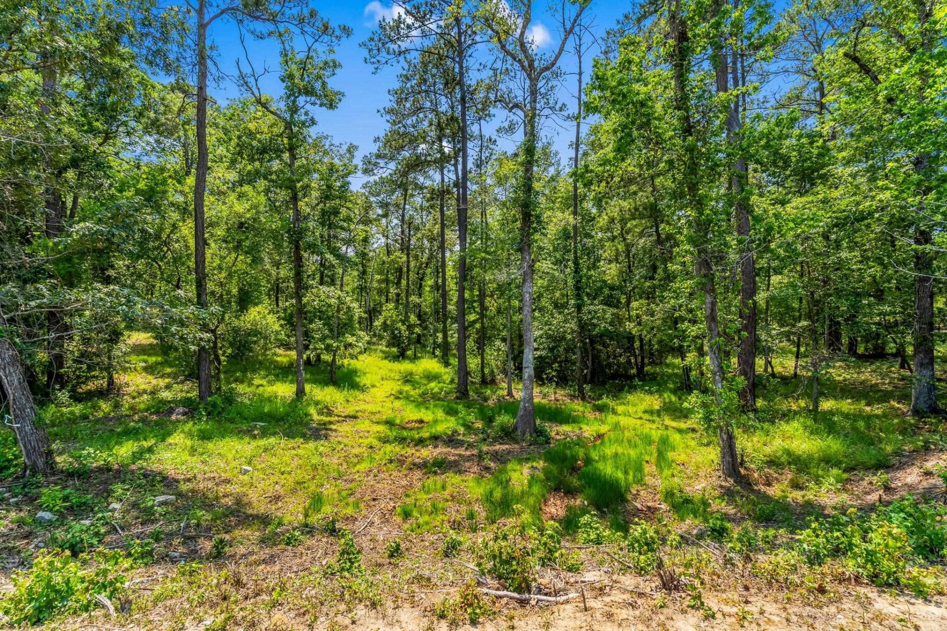 508 Chamberlin Rd. Photo 19
