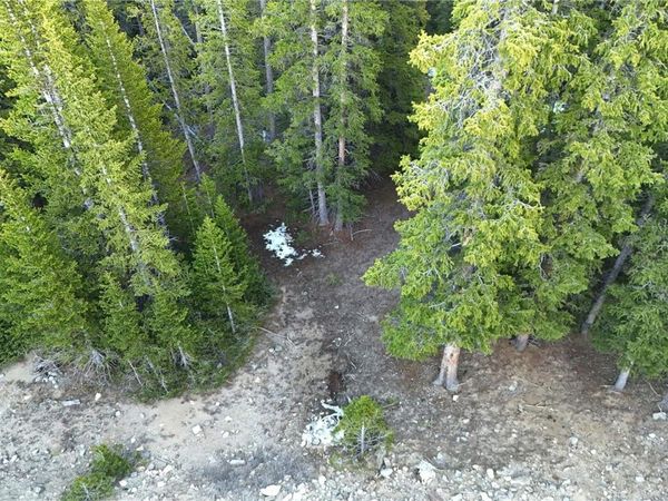 210 Silverheels Place , Fairplay, CO 80440