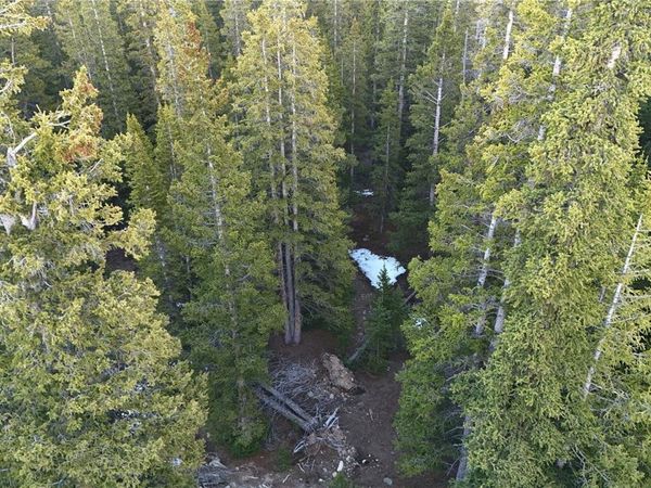 252 Silverheels Place , Fairplay, CO 80440