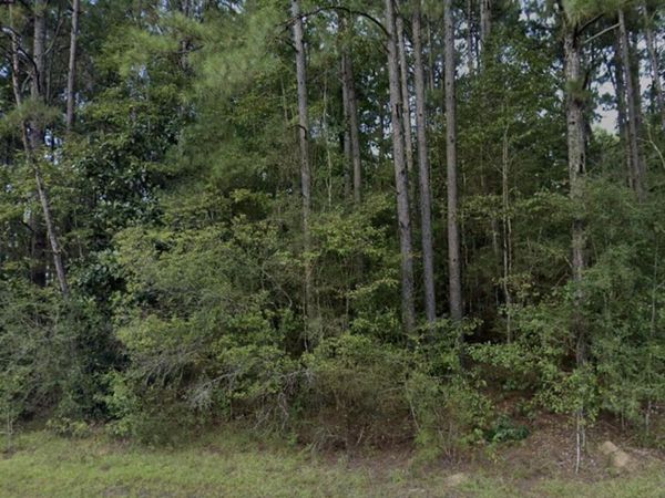 996 Hickory Grove Road, Lumberton, MS 39455