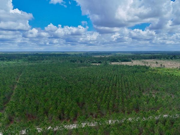 20 AC Owens Road, Odum, GA 31555