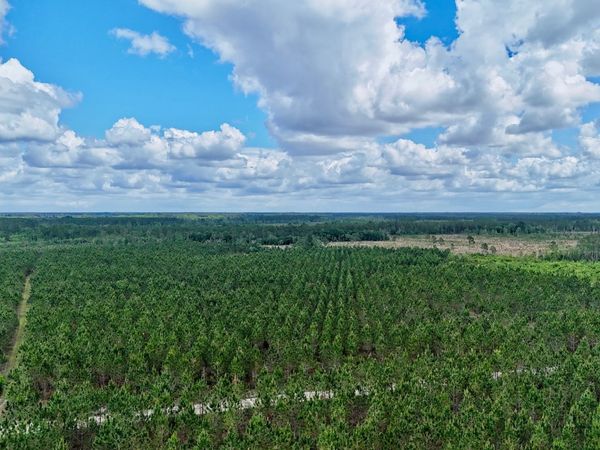 26 AC Owens Road, Odum, GA 31555