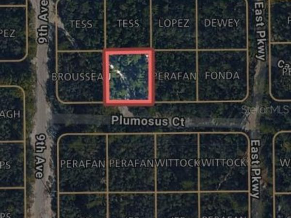 212 PLUMOSUS COURT , DELAND, FL 32724