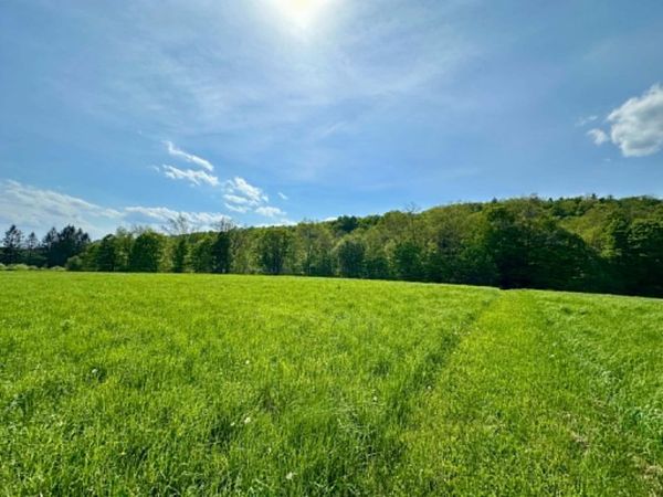Lot A Sweet Pond Road, Unit Lot 1, Guilford, VT 05301