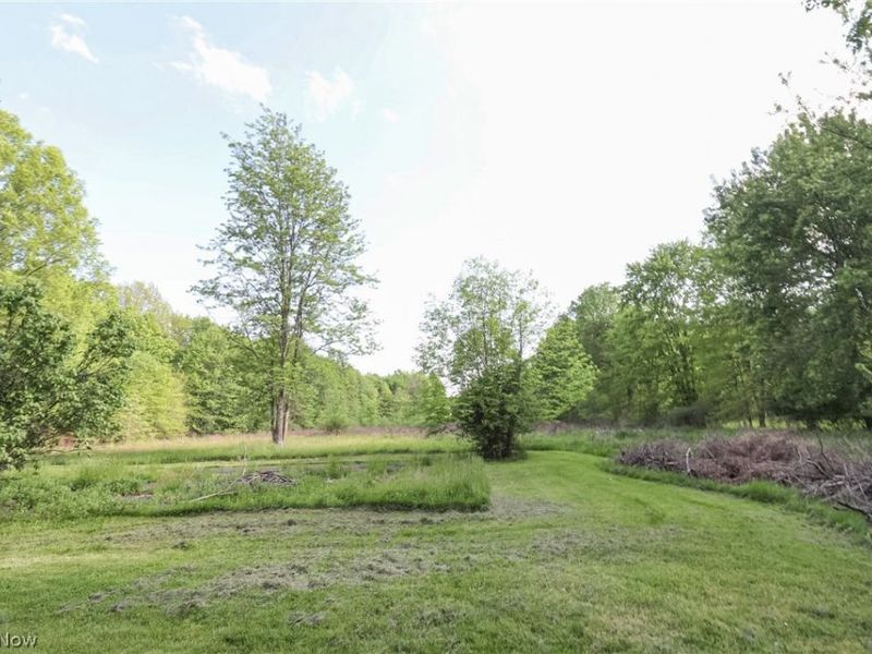 13004 Edison Street NE, Alliance, OH 44601 Photo 31