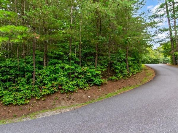 Lot 9 Laurel Creek Trail , Blue Ridge, GA 30513