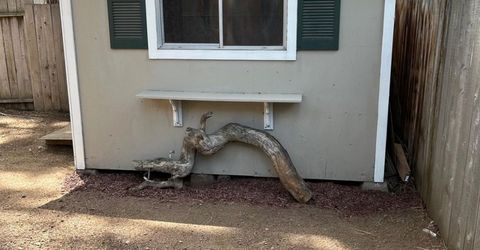 1186 Martin Avenue, South Lake Tahoe, CA 96150 Photo