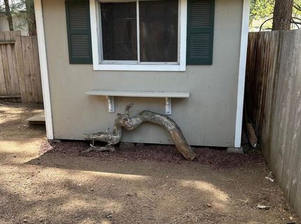 1186 Martin Avenue, South Lake Tahoe, CA 96150 Photo