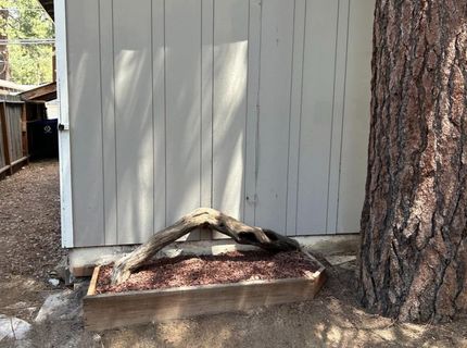 1186 Martin Avenue, South Lake Tahoe, CA 96150 Photo