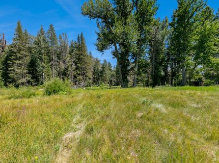 3558 Morton Drive, South Lake Tahoe, CA 96150 Photo