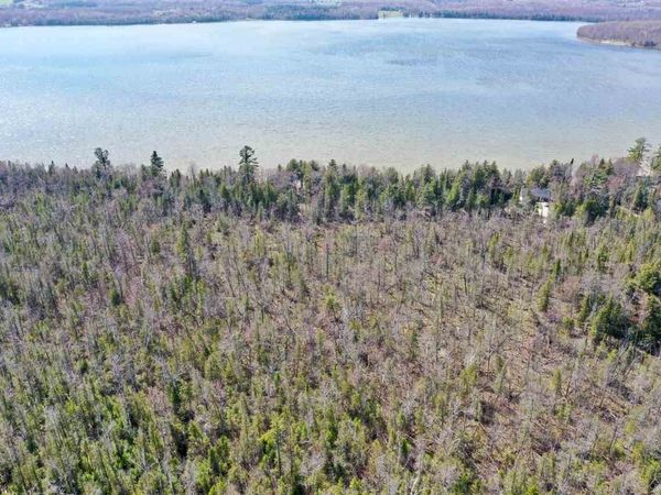179 Roth Road, Pellston, MI 49769