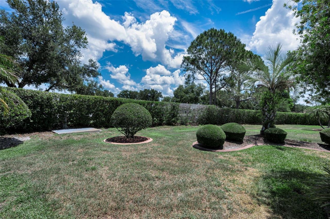 11917 Hadleigh Way, Trinity, FL 34655 Photo