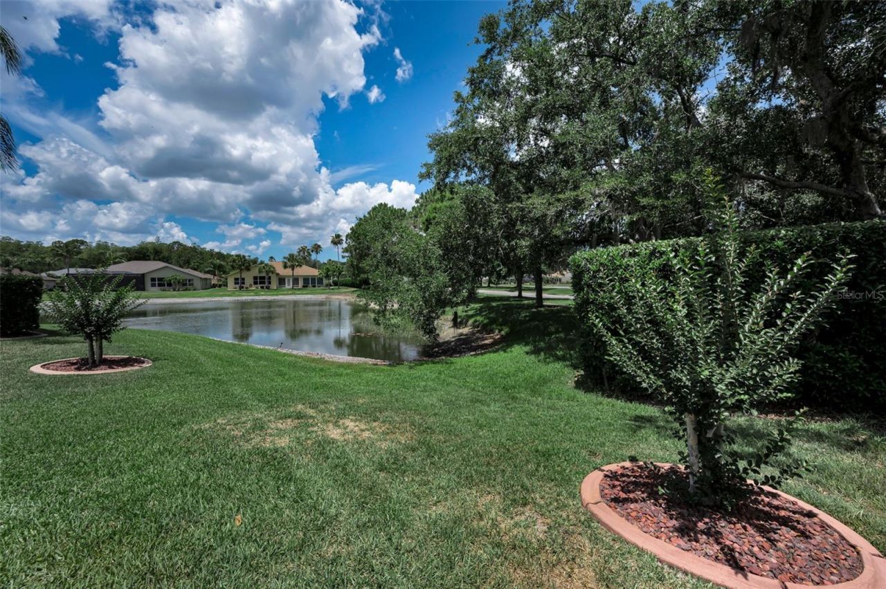 11917 Hadleigh Way, Trinity, FL 34655 Photo