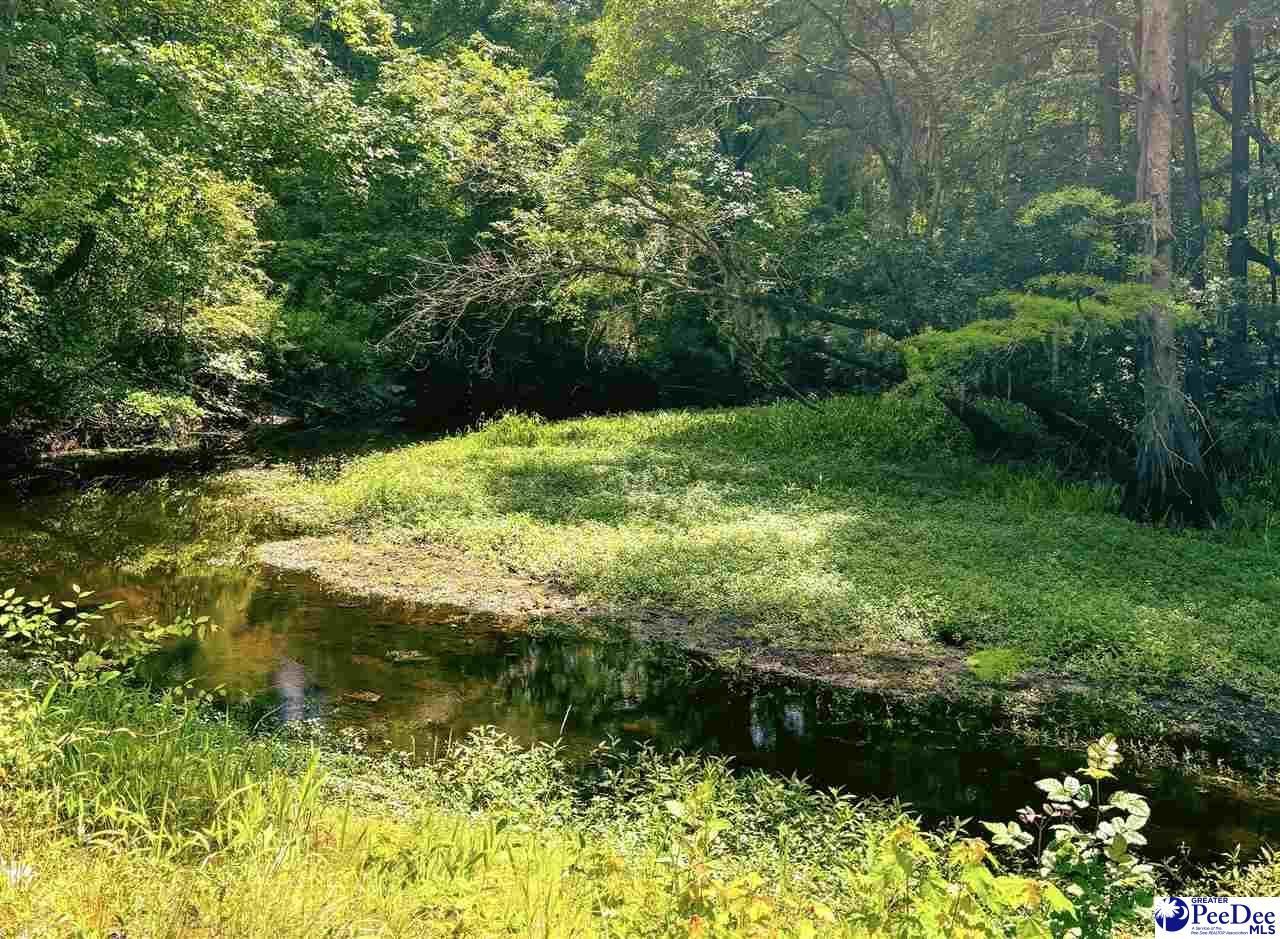 2134 Moccasin Bluff Rd. Photo 19