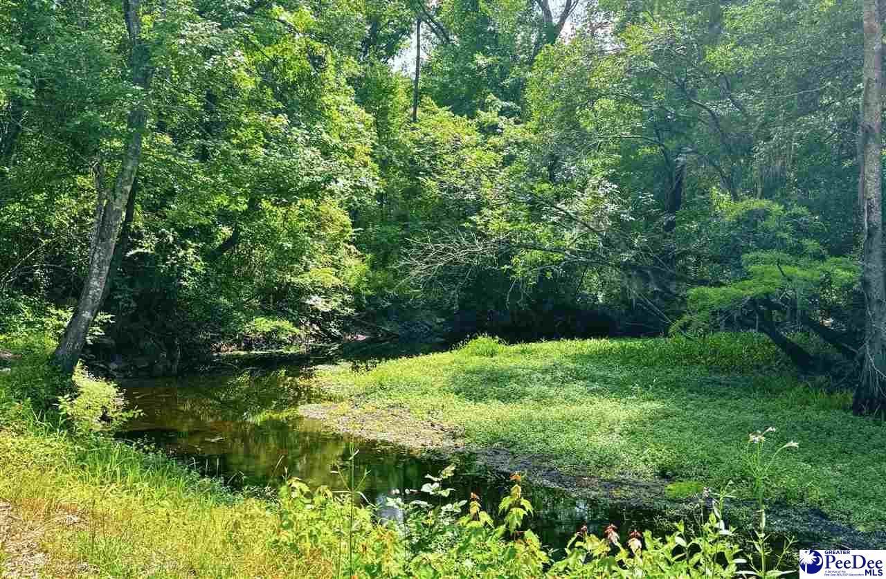 2134 Moccasin Bluff Rd. Photo 20