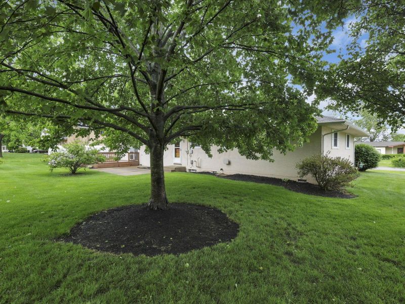 6174 Chinaberry Drive, Columbus, OH 43213 Photo 34