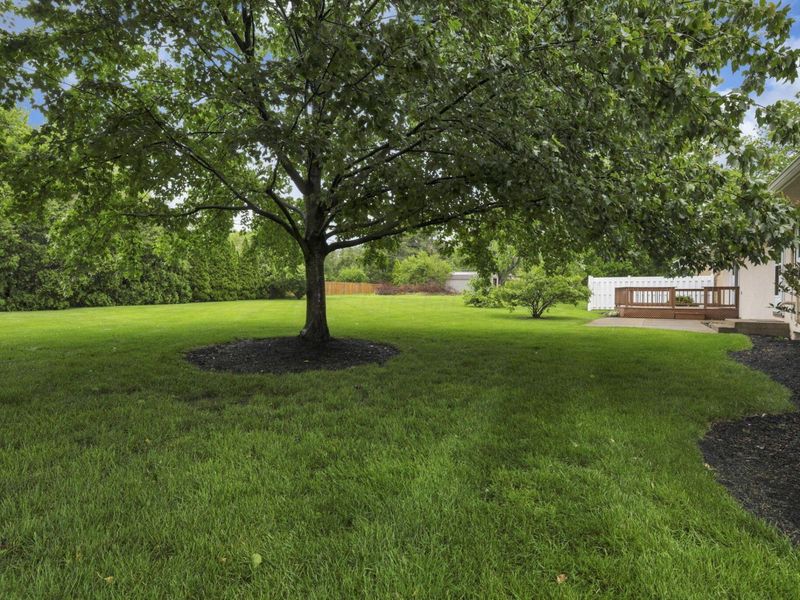 6174 Chinaberry Drive, Columbus, OH 43213 Photo 37