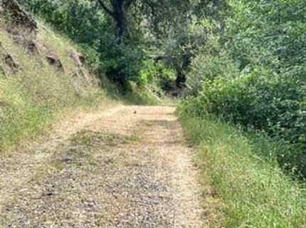 Murraydale, San Andreas, CA 95249 Photo