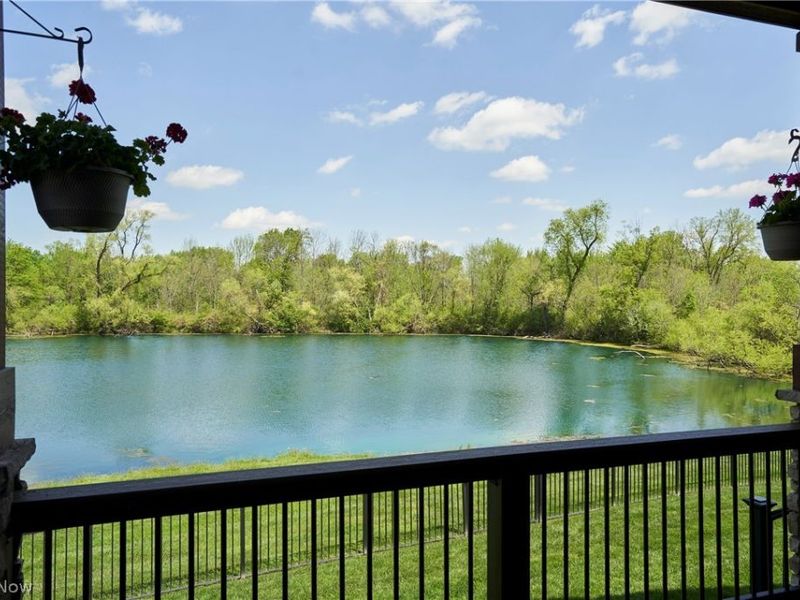2141 Hayden Drive, Hinckley, OH 44233 Photo 43