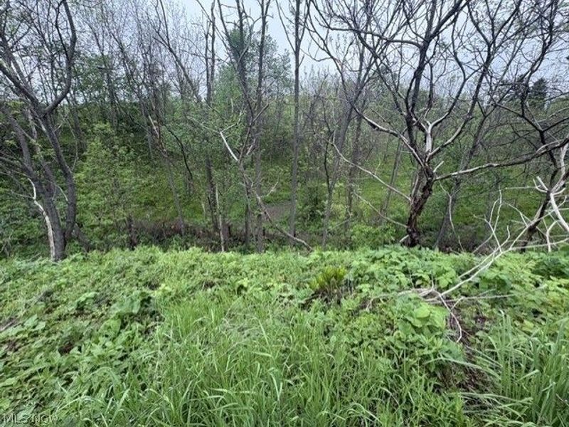 State Route 152, Smithfield, OH 43917 Photo 7