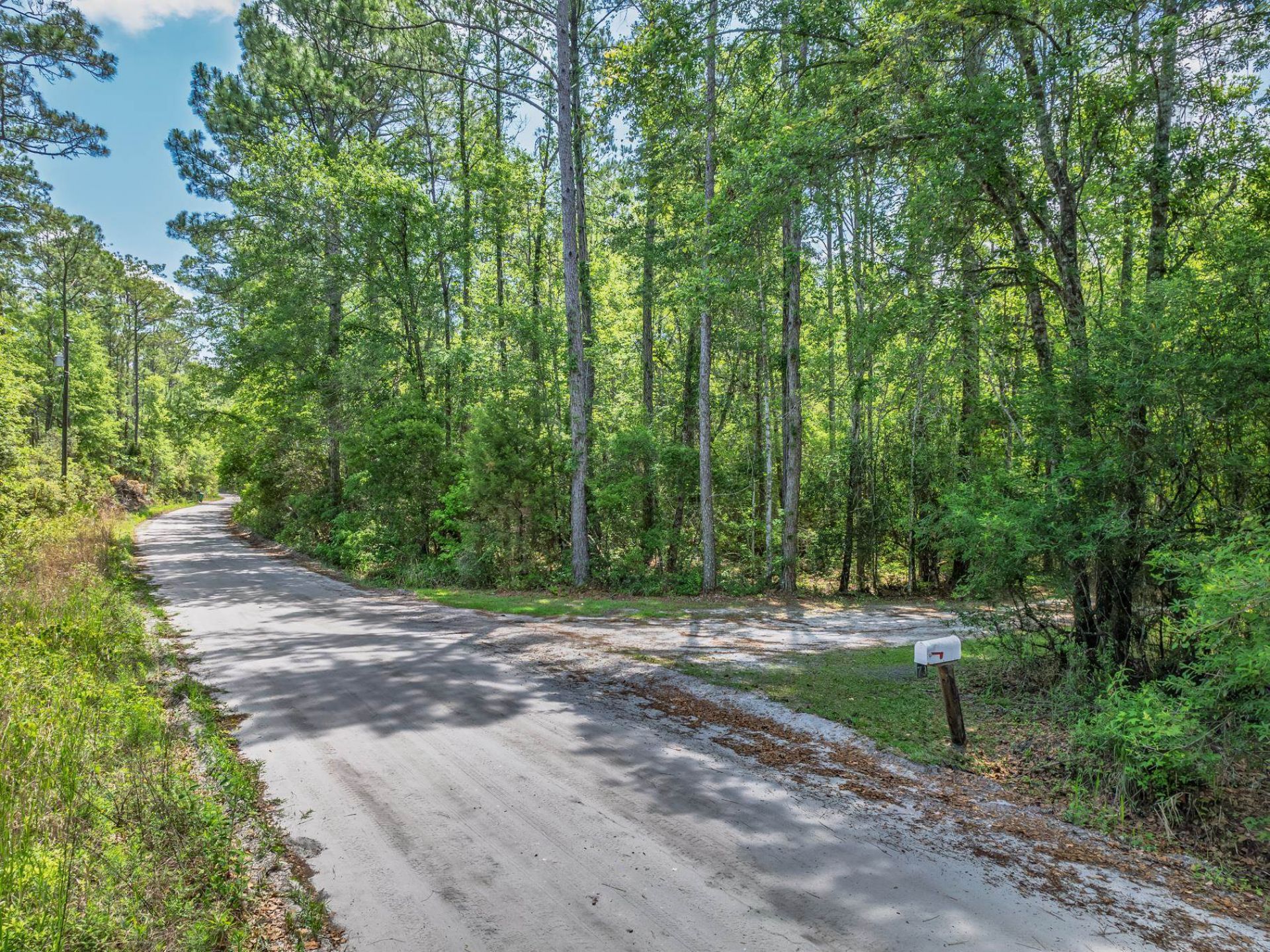 73 Daughtry Drive , Sopchoppy, FL 32358 Photo