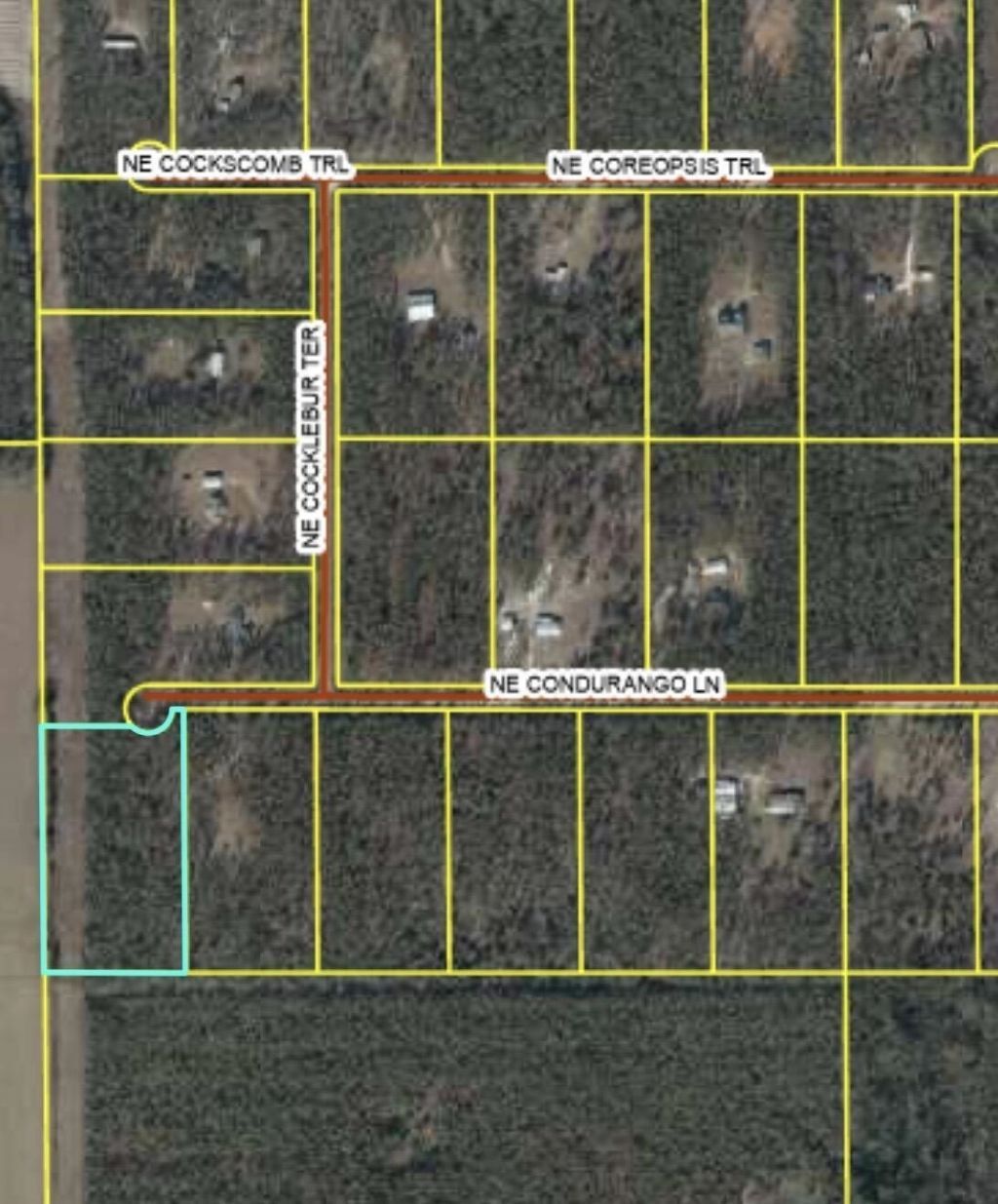 771 NE Condurango Lane, Lee, FL 32059 Main Photo