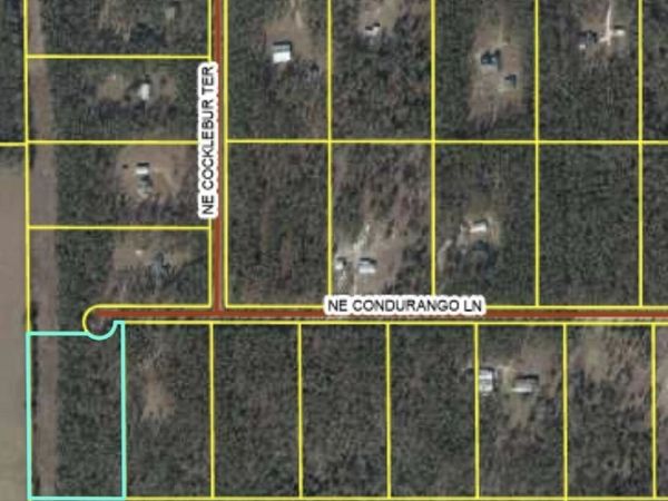 771 NE Condurango Lane, Lee, FL 32059