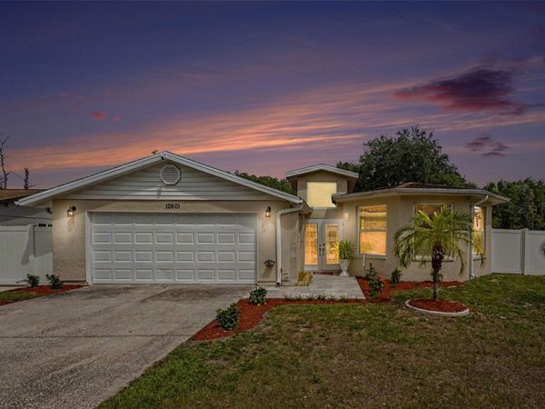 12601 WOOD IBIS WAY , TAMPA, FL 33624