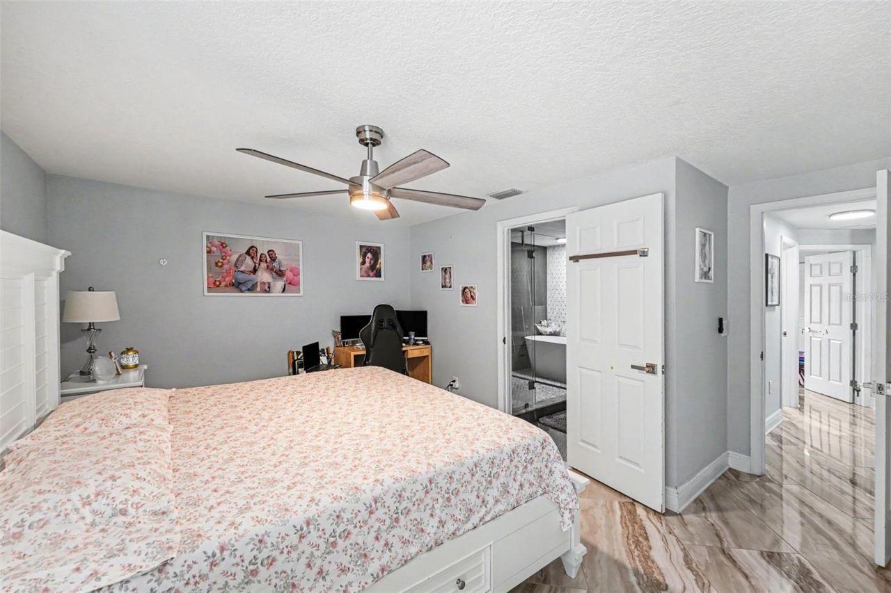 12601 Wood Ibis Way , Tampa, FL 33624 Photo