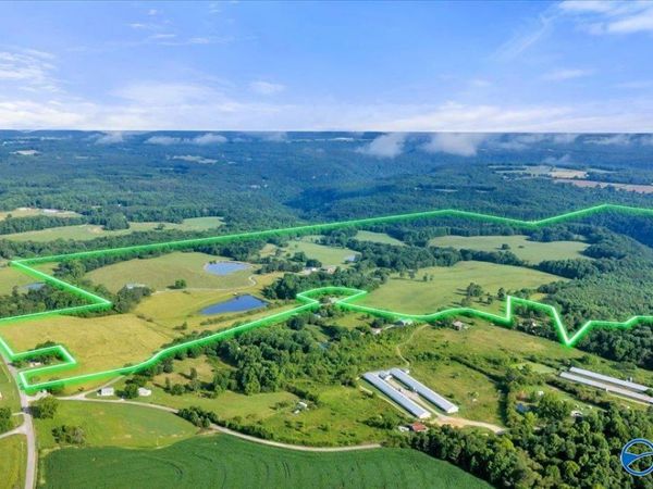 191 County Road 368, Albertville, AL 35951