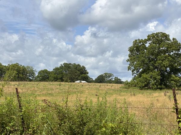 Lot 1 Pigott, Tylertown, MS 39667