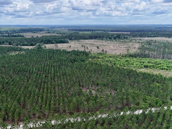 17 AC Owens Road, Odum, GA 31555