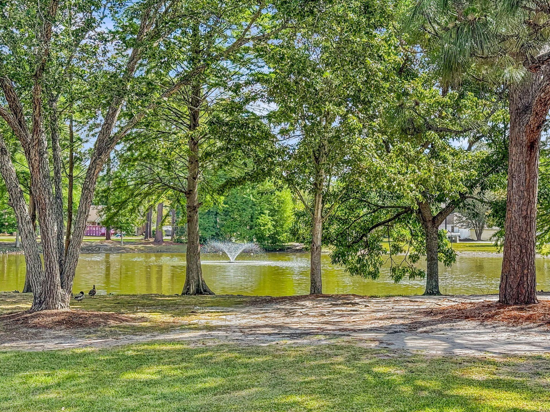 209 Longleaf Road Photo 42